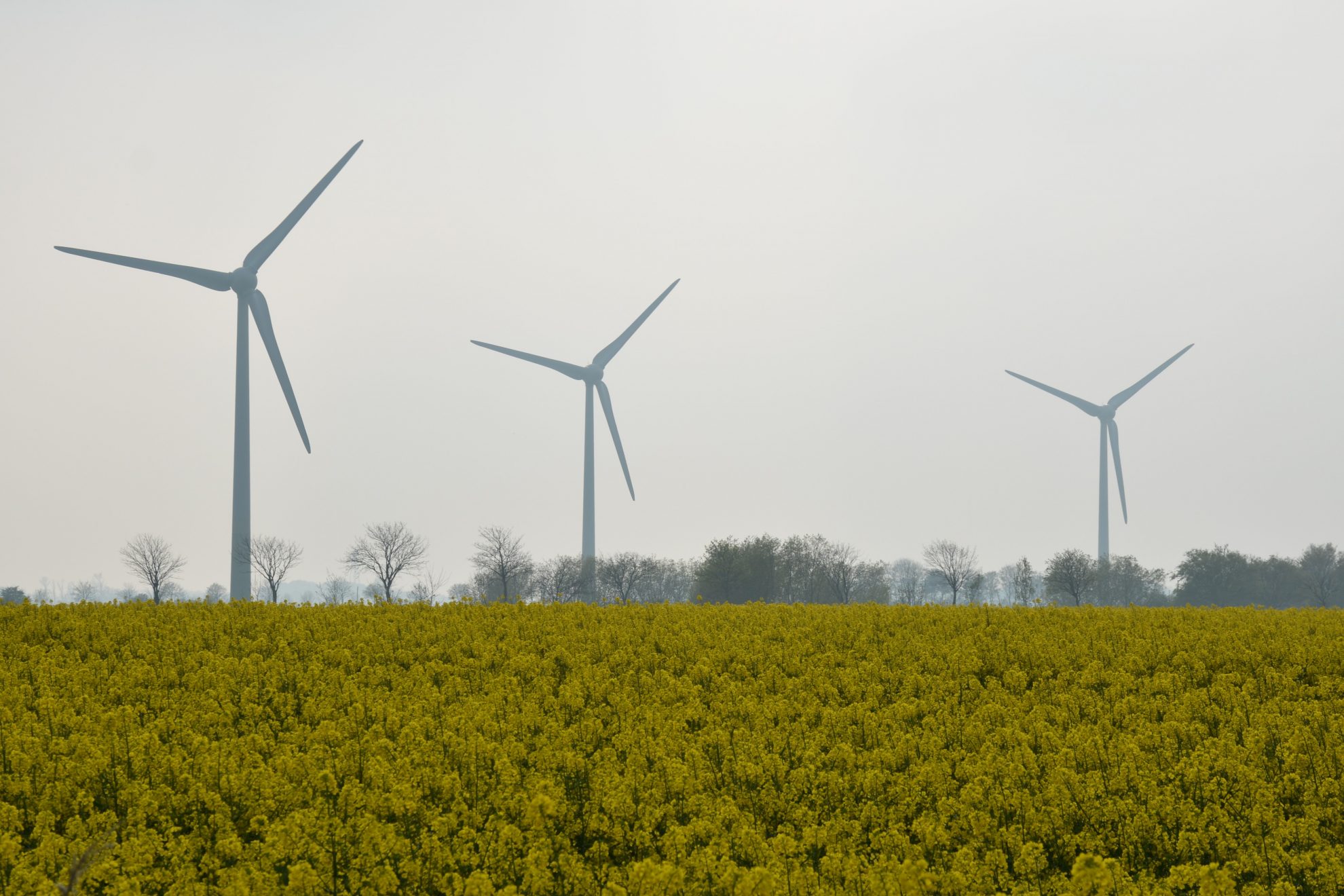 Erfolgreiche Energiewende Braucht Erweiterte Europäische Ausbauziele ...